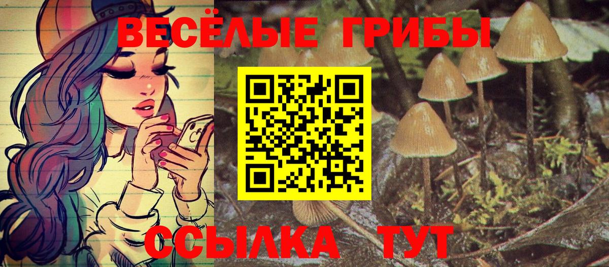 Галлюциногенные грибы MAGIC MUSHROOMS  Вход с VPN  Орёл 