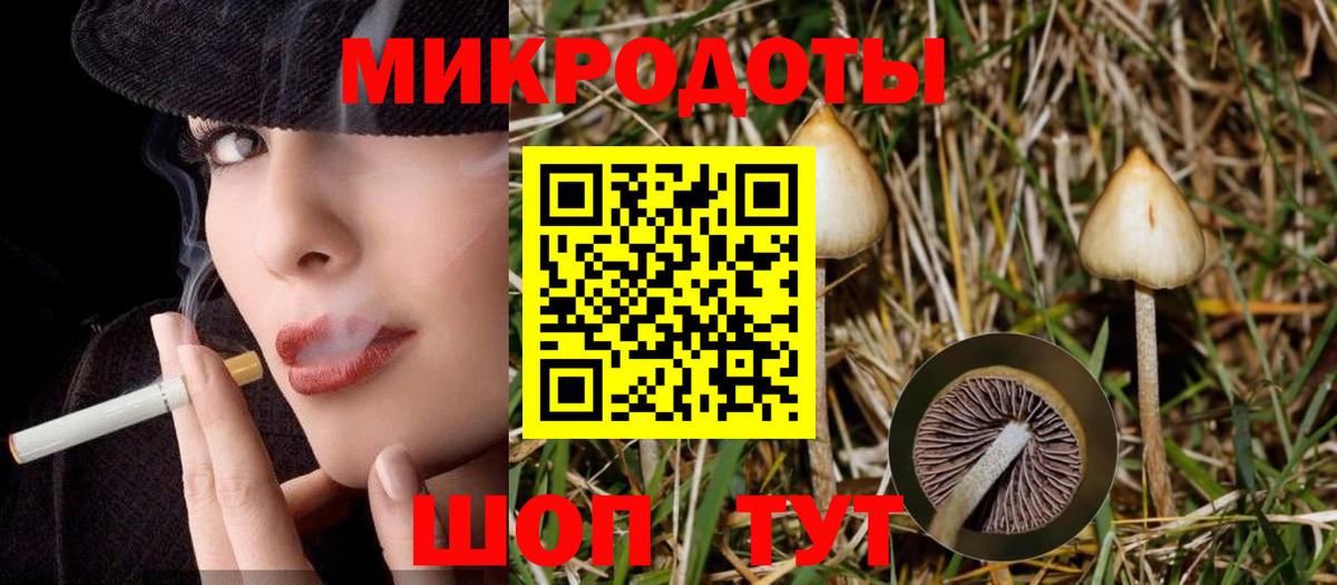 А ПВП Орёл