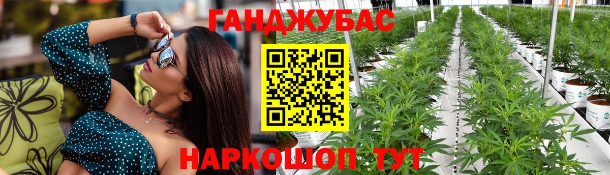 Конопля сатива  Бошки Шишки LSD WEED  Шишки марихуана Amnesia  Бошки Шишки тримм  Орёл  Вход с VPN 